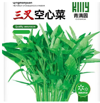 种子